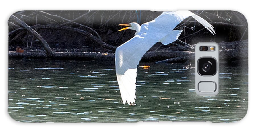 Egret Galaxy Case featuring the photograph Egret in flight by John Johnson