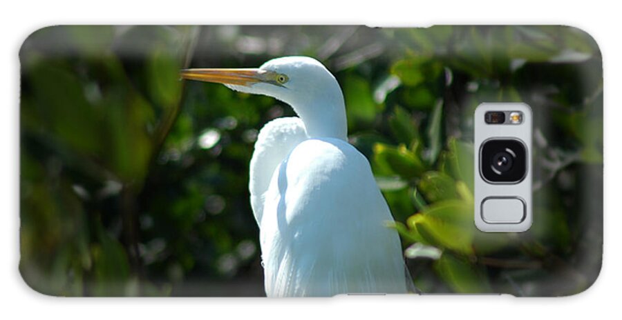 Egret Galaxy Case featuring the photograph Egret Of Sanibel 9 by David Weeks