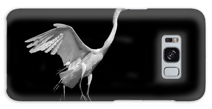 Egret Galaxy S8 Case featuring the photograph Egret on Black by Andy Smetzer