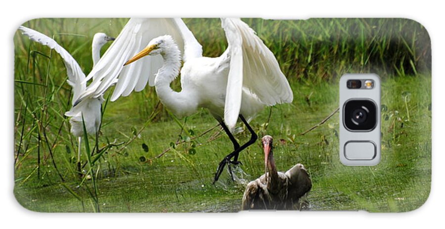 Egret Galaxy Case featuring the photograph Egrets taking flight by Dan Williams