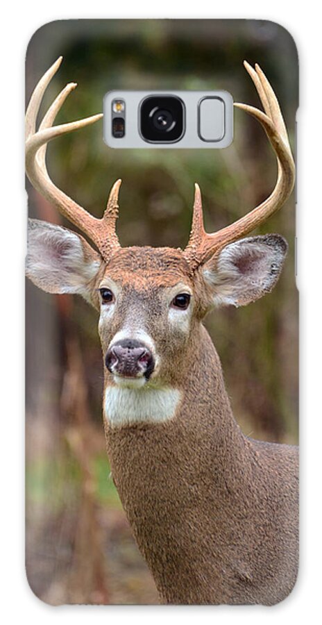 Deer Galaxy S8 Case featuring the photograph Eight Points of Awesome by Lori Tambakis
