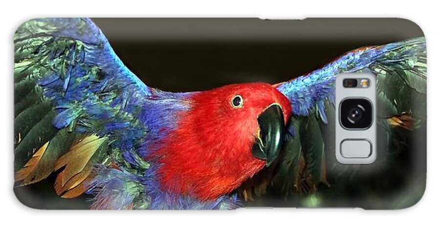Eclectus Galaxy Case featuring the photograph Electric Eclectus by Andrea Lazar