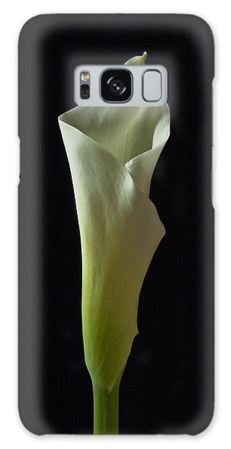 Cala Lilly Galaxy Case featuring the photograph Elegance Calla Lily by Ron White