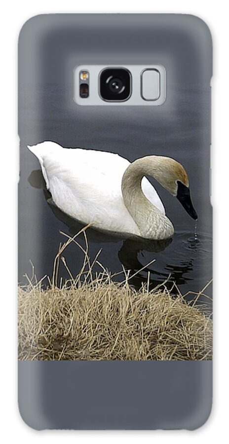 Trumpetter Galaxy Case featuring the photograph Elegance by Gigi Dequanne
