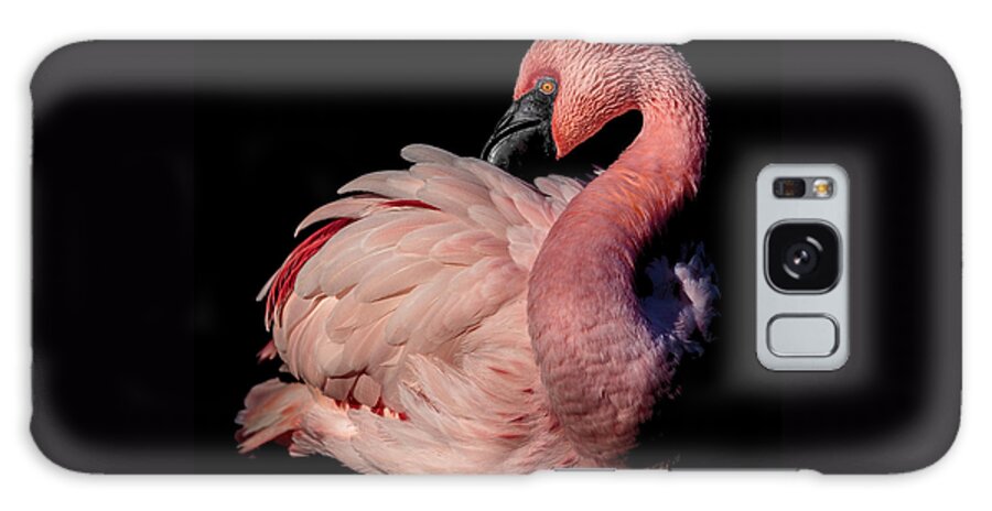 Elegant Galaxy Case featuring the photograph Elegant by Wes and Dotty Weber