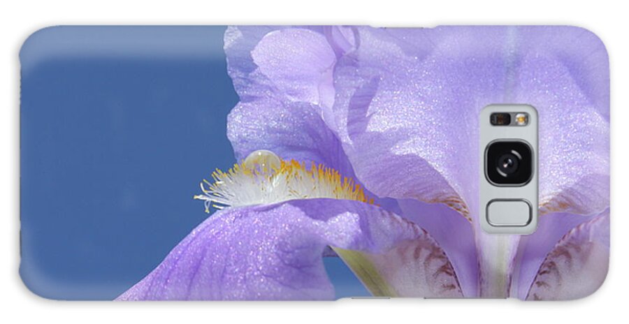 Iris Galaxy Case featuring the photograph Elegant Iris by Krissy Katsimbras