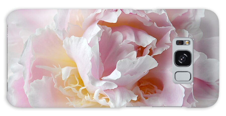 Flower Galaxy Case featuring the photograph Elegant Pink Peony by Sarah Schroder