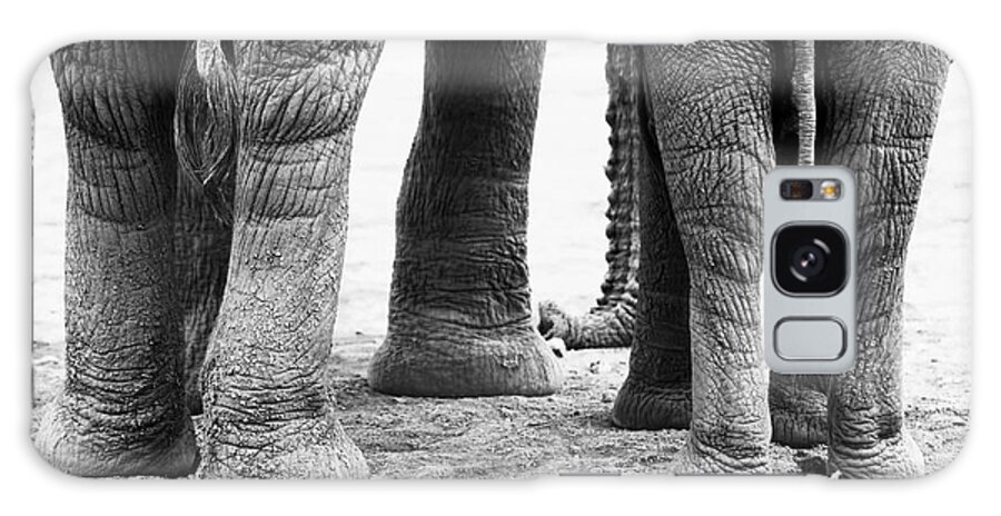 Elephants Galaxy Case featuring the photograph Elephant Feet by Amanda Stadther