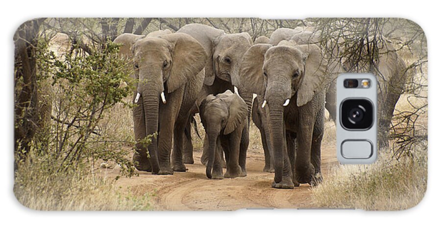 Africa Galaxy Case featuring the photograph Elephants Have the Right of Way by Michele Burgess