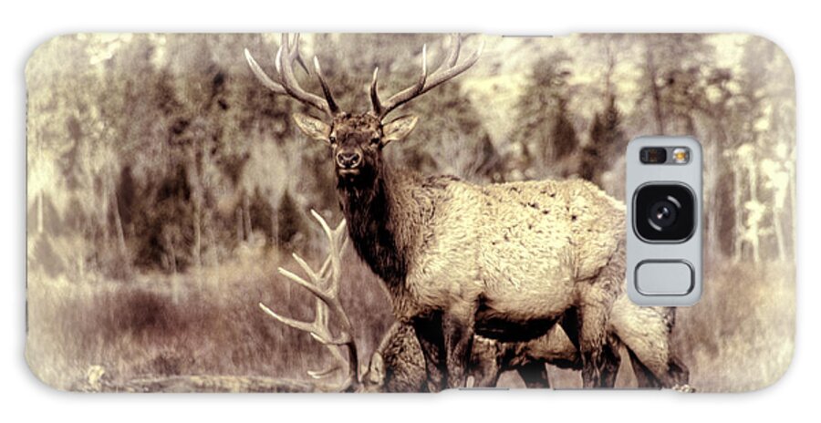Elk Galaxy Case featuring the photograph Elk Portrait by Will Wagner