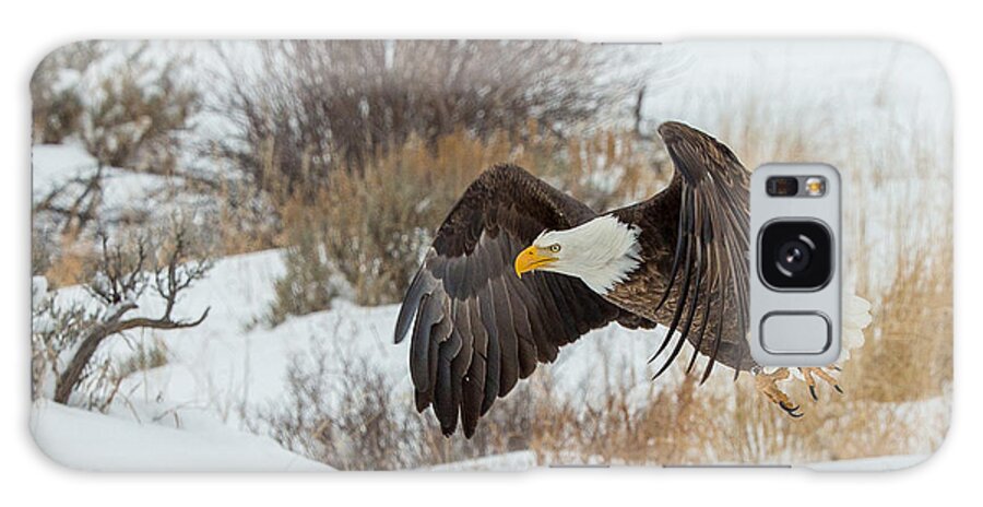 Eagle Galaxy S8 Case featuring the photograph Elk View by Kevin Dietrich