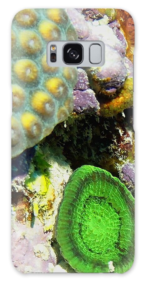 Nature Galaxy S8 Case featuring the photograph Emerald Artichoke Coral by Amy McDaniel