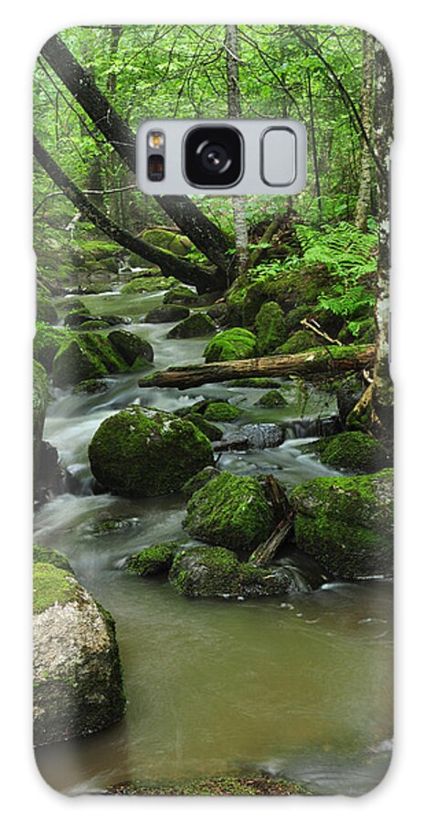 Forest Galaxy Case featuring the photograph Emerald Forest by Glenn Gordon