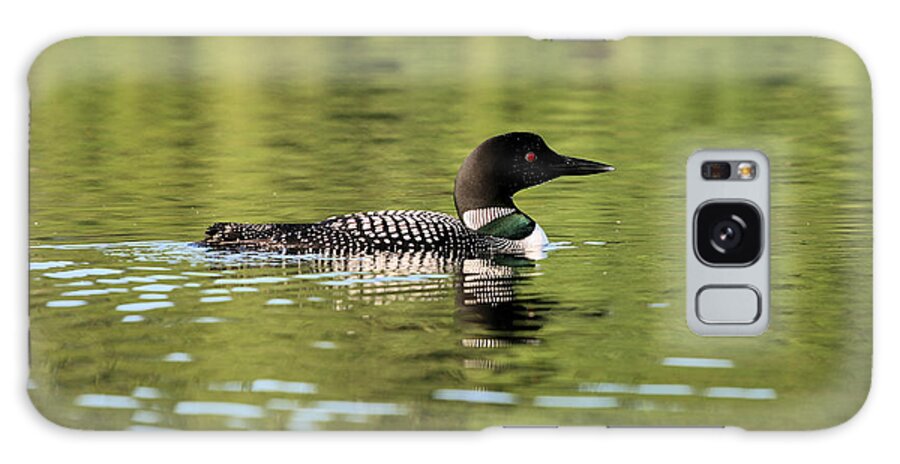 Loon Galaxy Case featuring the photograph Emerald Loon by Stan Reckard