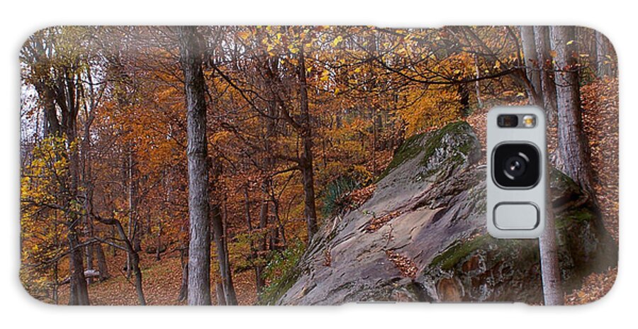Fall Galaxy Case featuring the photograph End of the Season by Forest Floor Photography