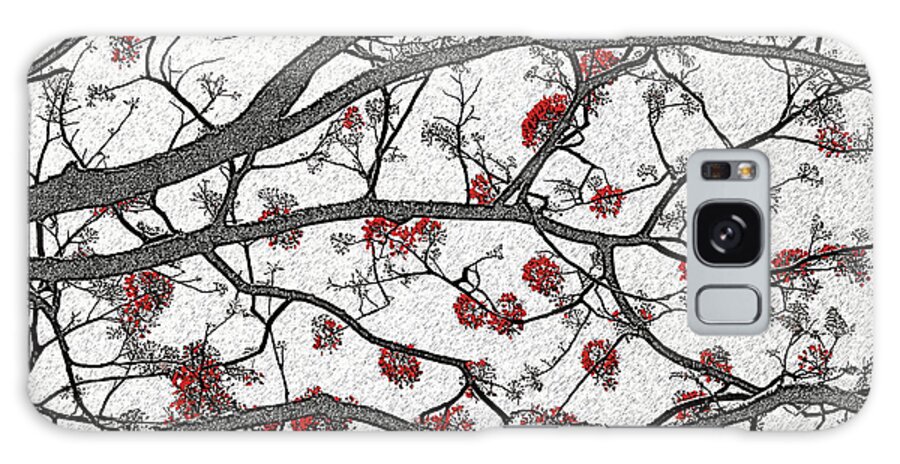 Trees Galaxy Case featuring the photograph Erythrina by Andre Aleksis