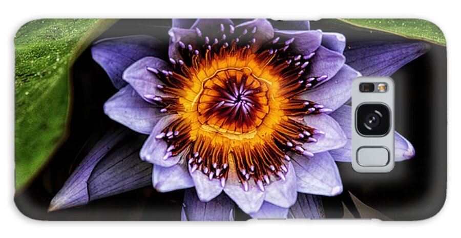 Flower Galaxy Case featuring the photograph Ethereal Beauty by Lucy VanSwearingen