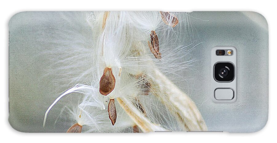 Milkweed Pod Galaxy Case featuring the photograph Ethereal Pod 4 by Fraida Gutovich