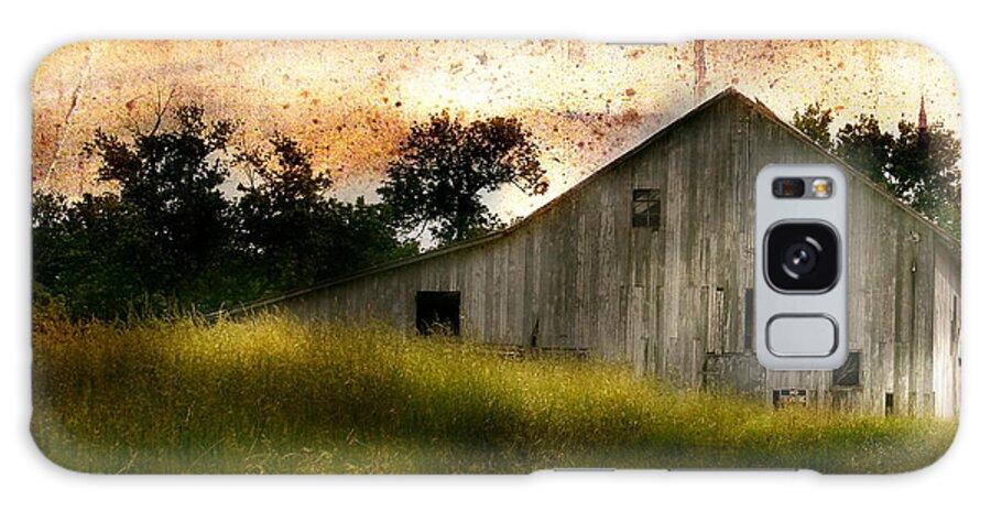 Landscape Galaxy Case featuring the photograph Evening Light over Taylor Farm by Virginia Folkman