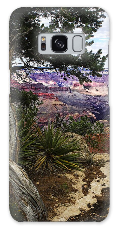 Color Galaxy Case featuring the photograph Evening on the Rim -2 by Alan Hausenflock