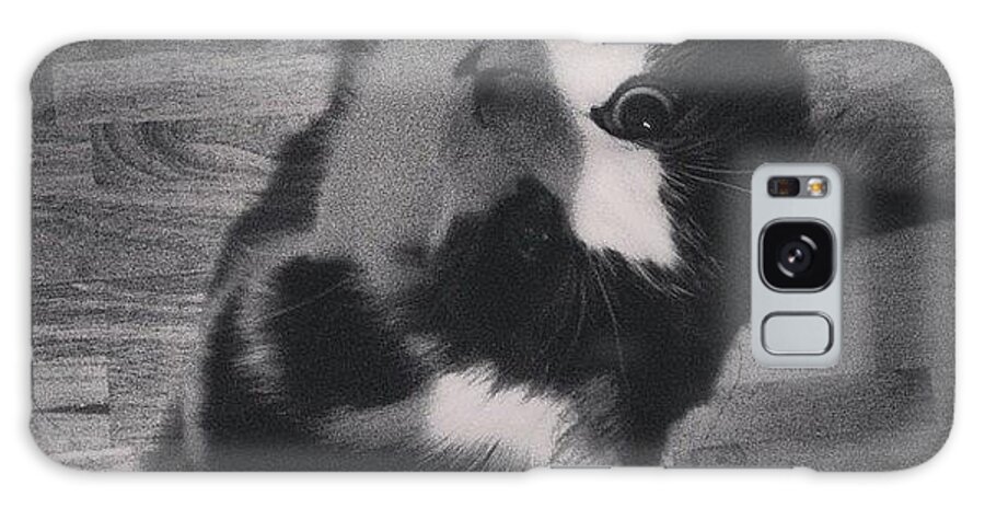 Happyhalloween Galaxy Case featuring the photograph #evil #halloween #cat #happyhalloween by Laura Hindle