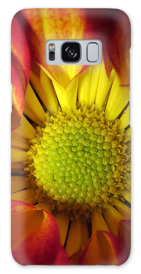 Stamens Galaxy Case featuring the photograph Eye Candy by Rosita Larsson