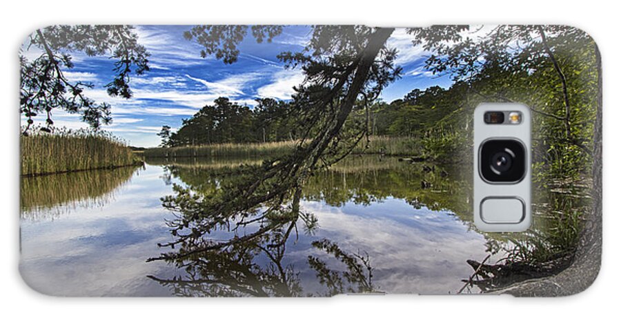 Faerie Dell Galaxy Case featuring the photograph Quogue Faerie Dell by Robert Seifert