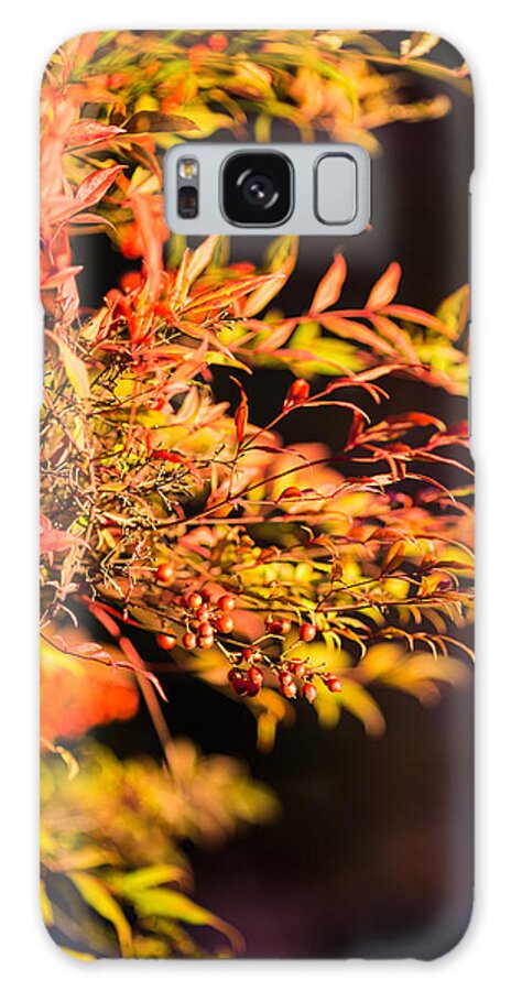 Berries Galaxy Case featuring the photograph Fall Berries by Mike Lee