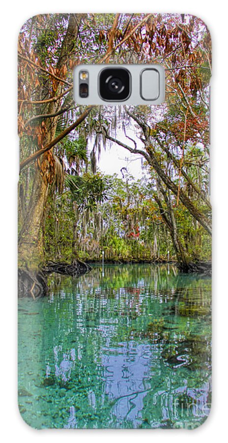 Three Sisters Spring Galaxy Case featuring the photograph Fall colors along Three Sisters Spring Run by Barbara Bowen