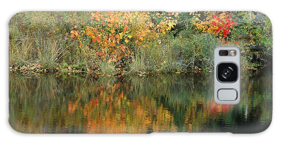 Coastal Galaxy S8 Case featuring the photograph Fall Colors I by Robert Suggs