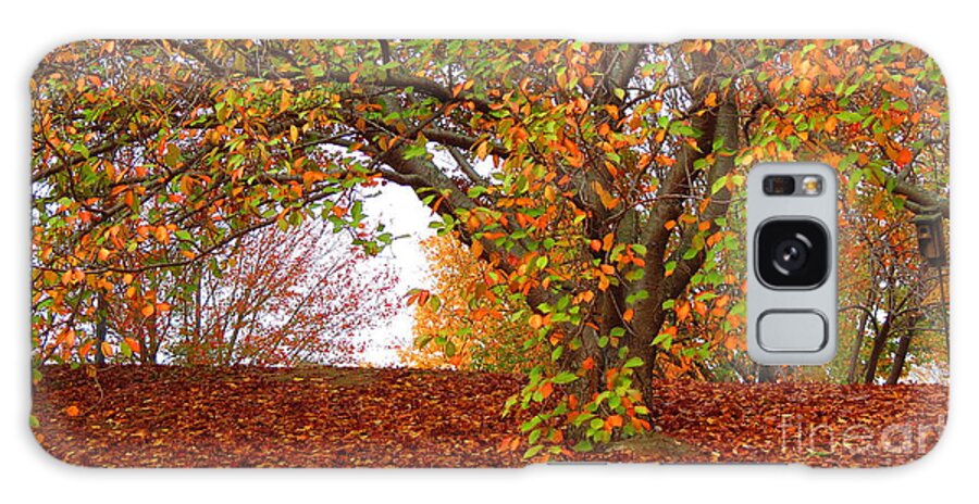 Fall Galaxy Case featuring the photograph Fall Colours by Anita Adams