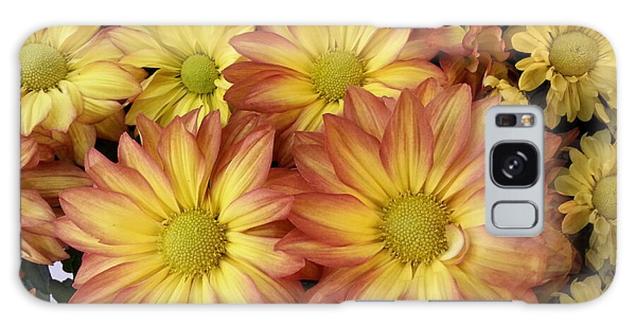 Flower Galaxy Case featuring the photograph Fall Daisies by Donna Brown