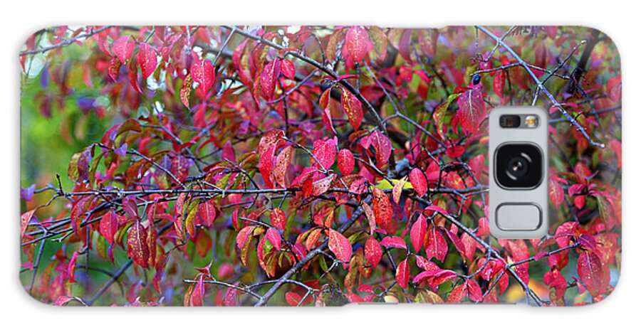 Autumn Galaxy S8 Case featuring the photograph Fall Foliage Colors 05 by Metro DC Photography