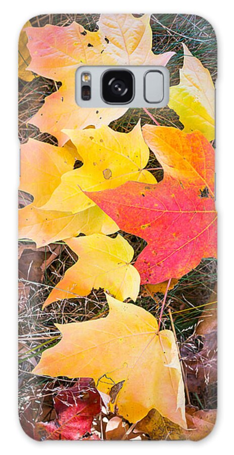 Fall Colors Galaxy Case featuring the photograph Fallen Leaves by Jatin Thakkar