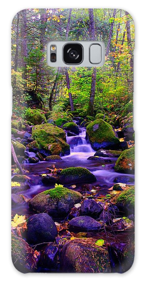 Rivers Galaxy S8 Case featuring the photograph Fallen Leaves On The Rocks by Jeff Swan