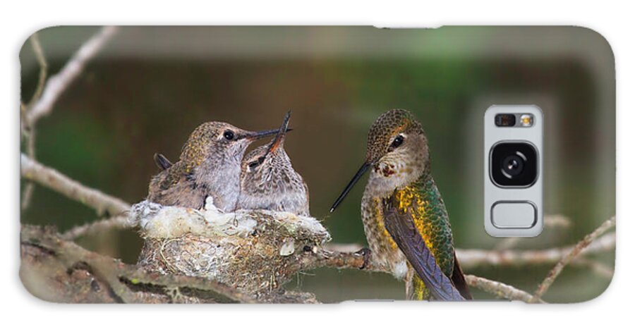 Hummingbird Galaxy Case featuring the photograph Family Love by Beth Sargent