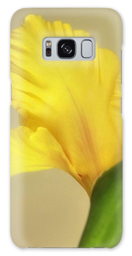 Flower Galaxy Case featuring the photograph Fanning Glady by Deborah Crew-Johnson