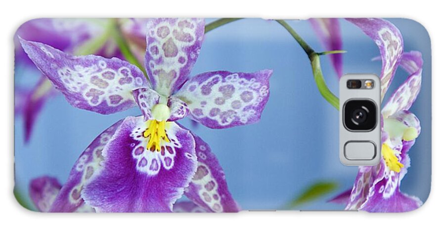 Flower Of The Day Galaxy Case featuring the photograph Fantasy by Jade Moon 