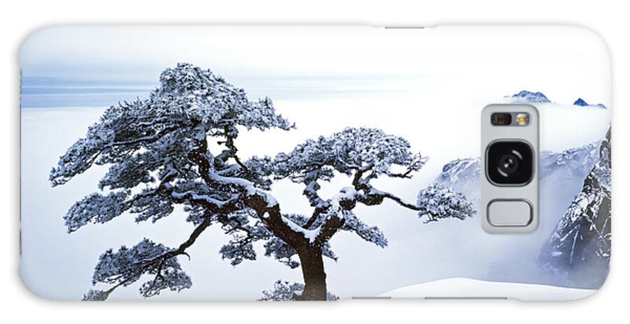 Bonsai Tree Galaxy Case featuring the photograph Fare-Well Pine Tree by King Wu