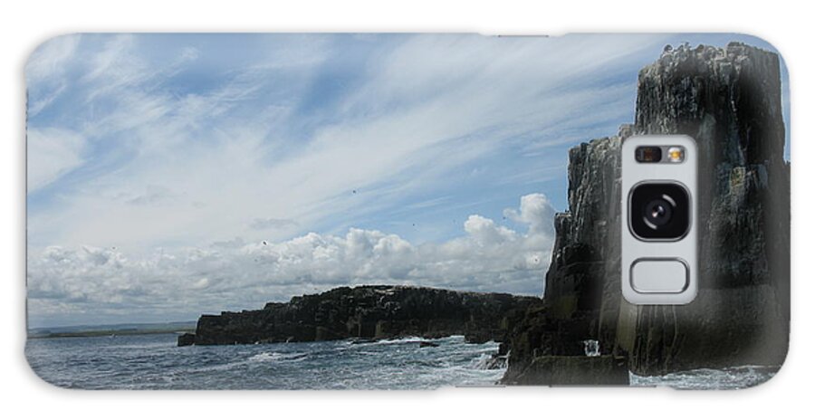 Islands Galaxy Case featuring the painting Farne Island Cliffs 2 England by Tom Conway