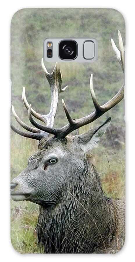 Deer Galaxy S8 Case featuring the photograph Stag Party The series Father To Be. by Linsey Williams