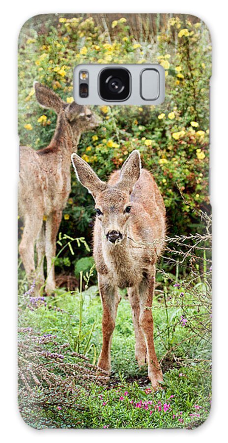 Fawns Galaxy Case featuring the photograph Fawns Eating Flowers by Peggy Collins