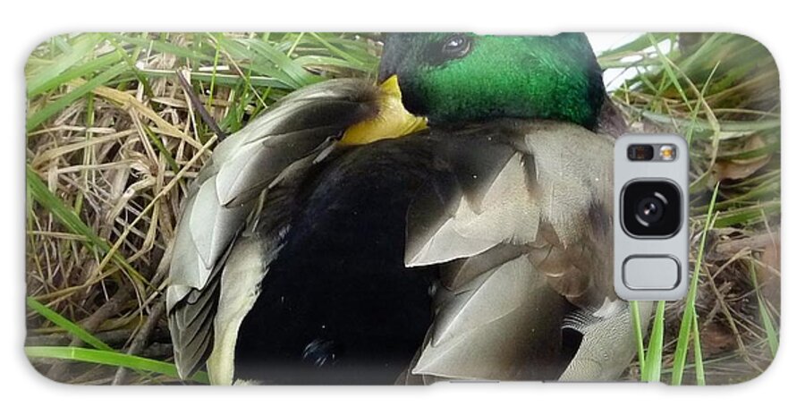 Duck Galaxy Case featuring the photograph Feather On My Beak by Susan Garren