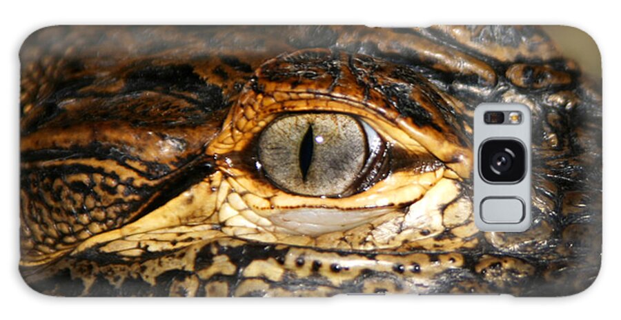 Gator Galaxy S8 Case featuring the photograph Feisty Gator by Anthony Jones