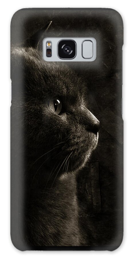 Cat Galaxy Case featuring the photograph Feline perfection by Laura Melis