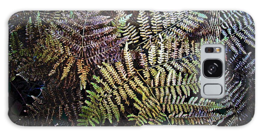 Fern Galaxy Case featuring the photograph Fern Fronds by Nick Kloepping
