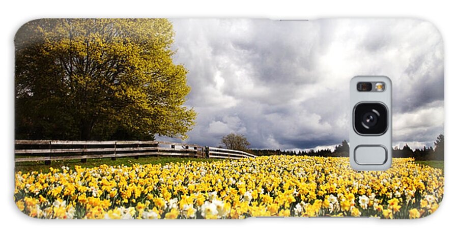 Daffodils Galaxy Case featuring the photograph Field of Daffodils by Sylvia Cook