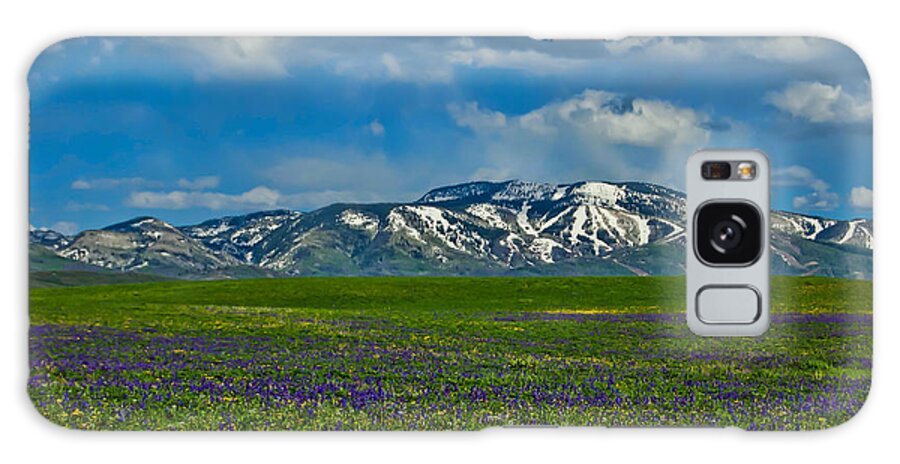 Wildflowers Galaxy S8 Case featuring the photograph Field of Wildflowers by Don Schwartz