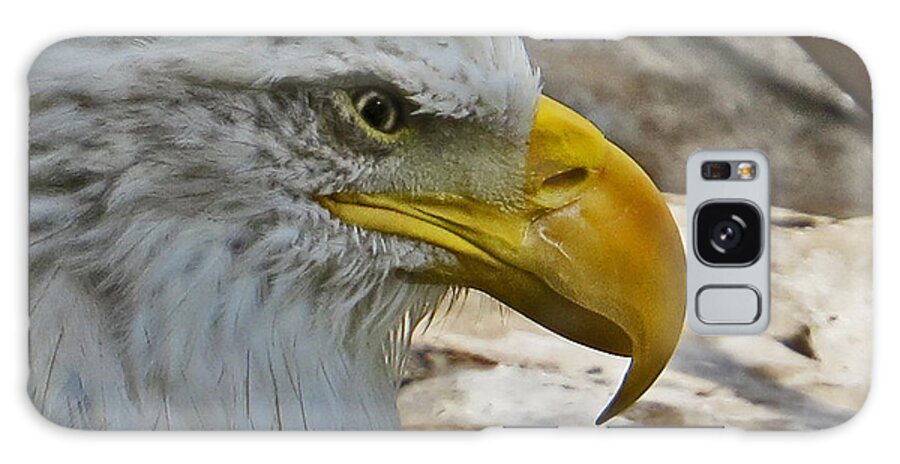 Eagle Galaxy Case featuring the photograph Fierce Eagle by Dawn Gari