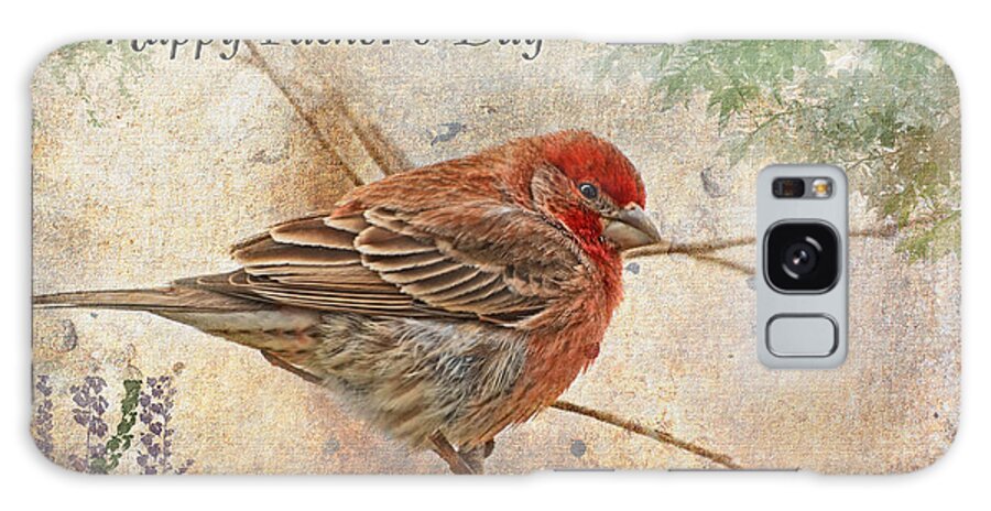 Nature Galaxy S8 Case featuring the photograph Finch Greeting Card Father's Day by Debbie Portwood